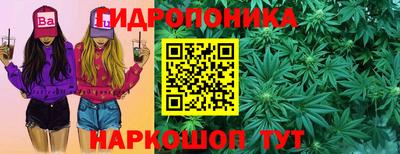 spice Гусиноозёрск